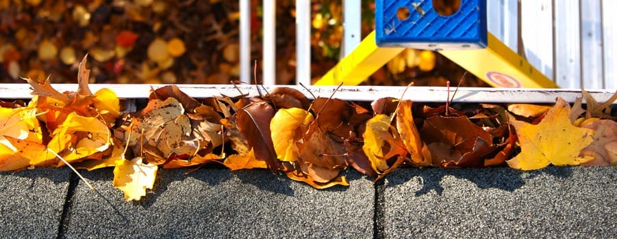 Gutter Cleaning